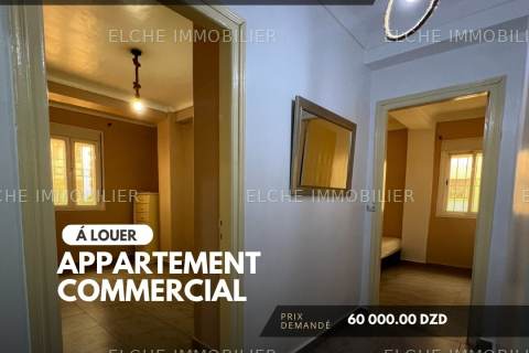 Appartement commercial F3 à Louer