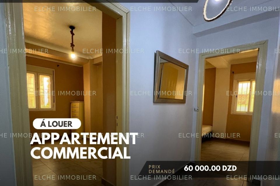Appartement commercial F3 à Louer