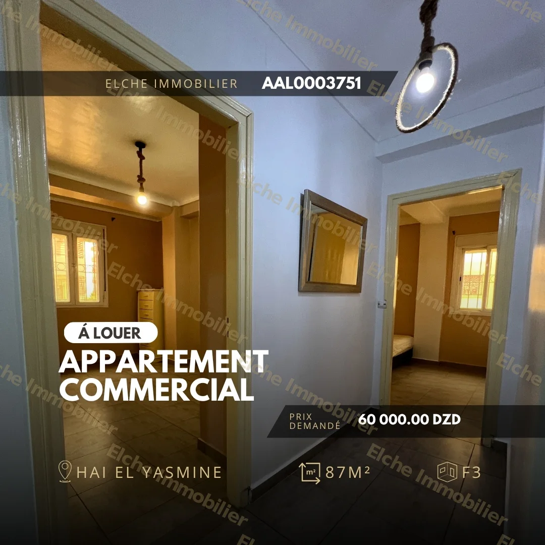 Appartement commercial F3 à Louer
