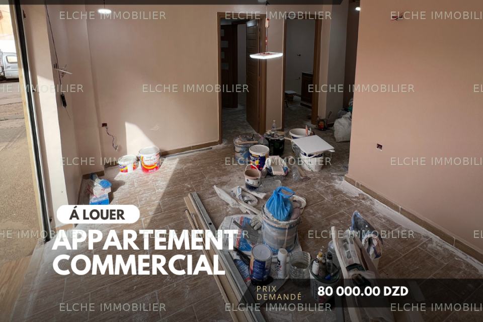 Appartement F2 commercial à Louer