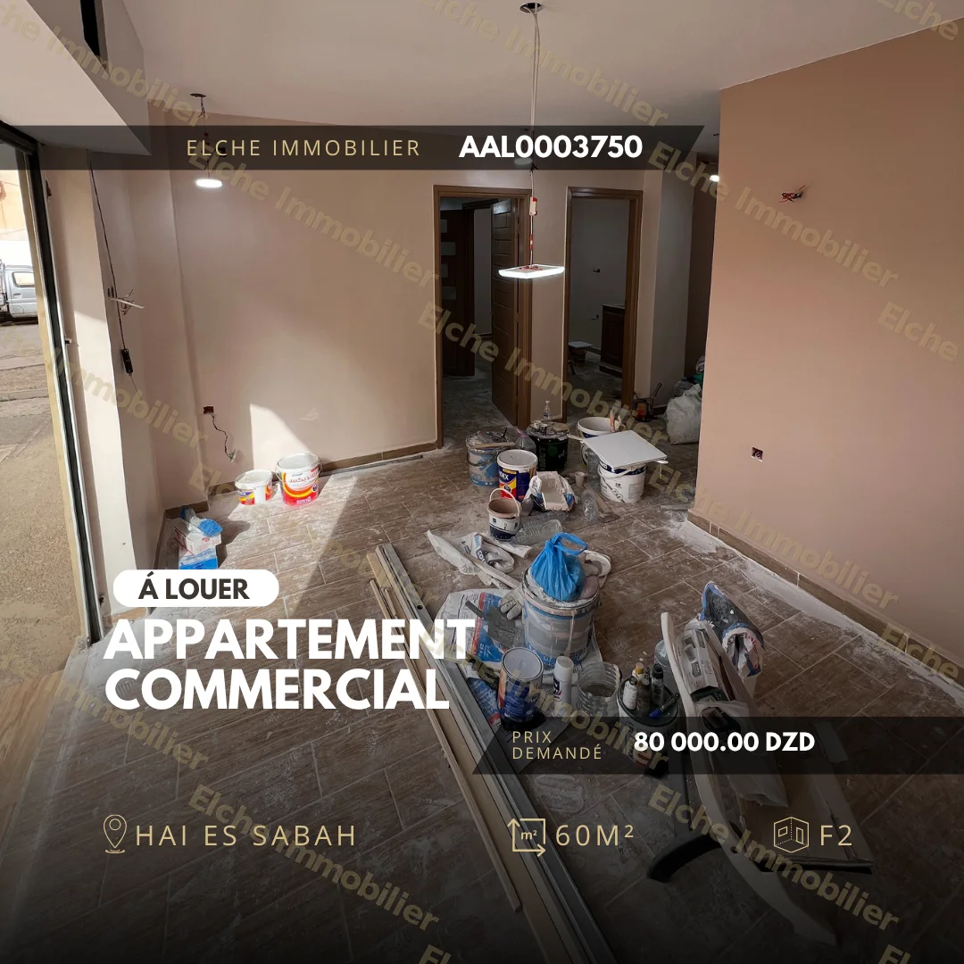 Appartement F2 commercial à Louer