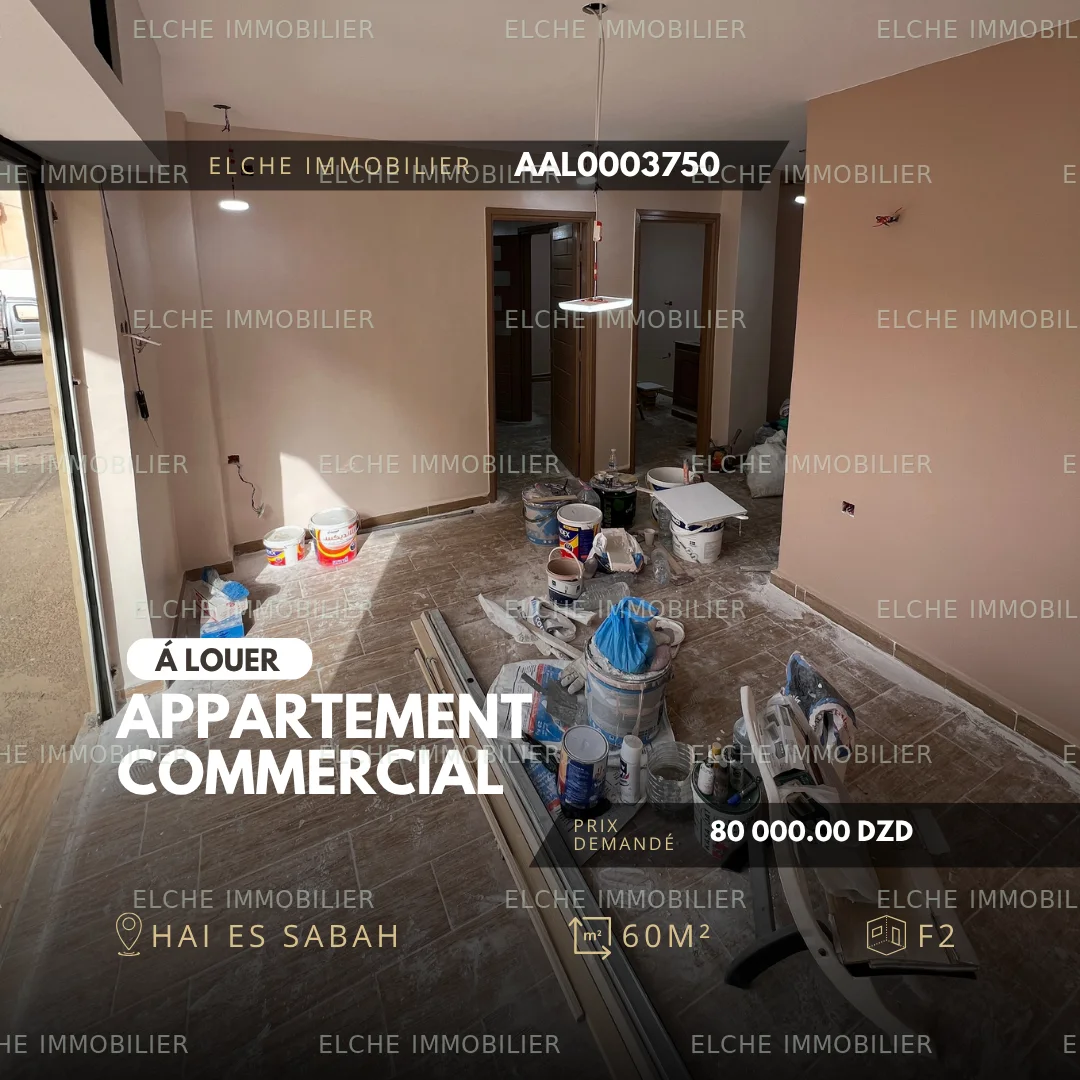 Appartement F2 commercial à Louer