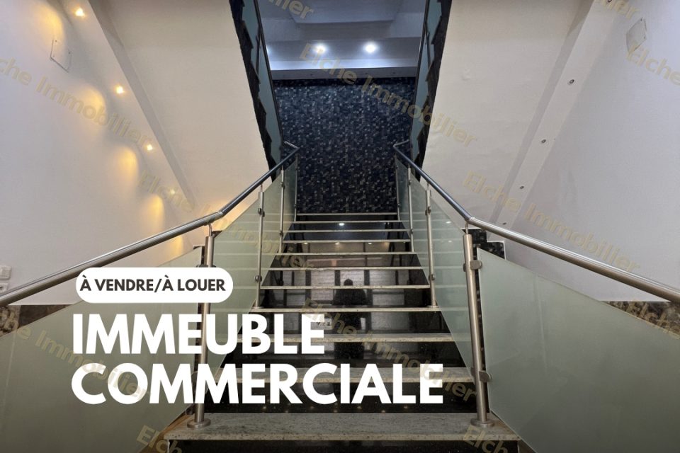 Immeuble R+3 à vendre