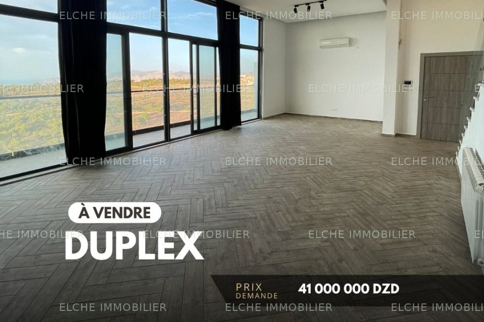 Duplex F3 à vendre