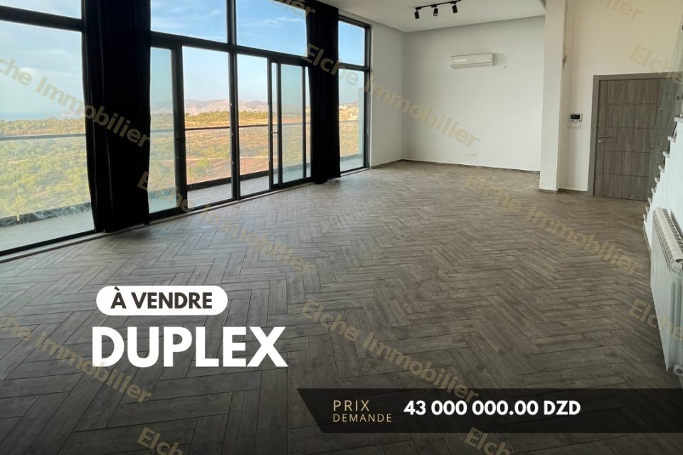 Duplex F3 à vendre