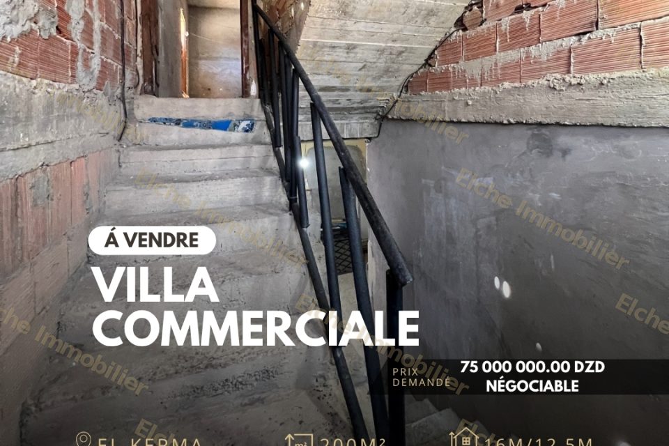 Villa commerciale R+2 à vendre