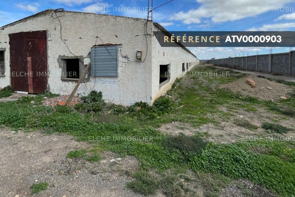 Terrain agricole à vendre