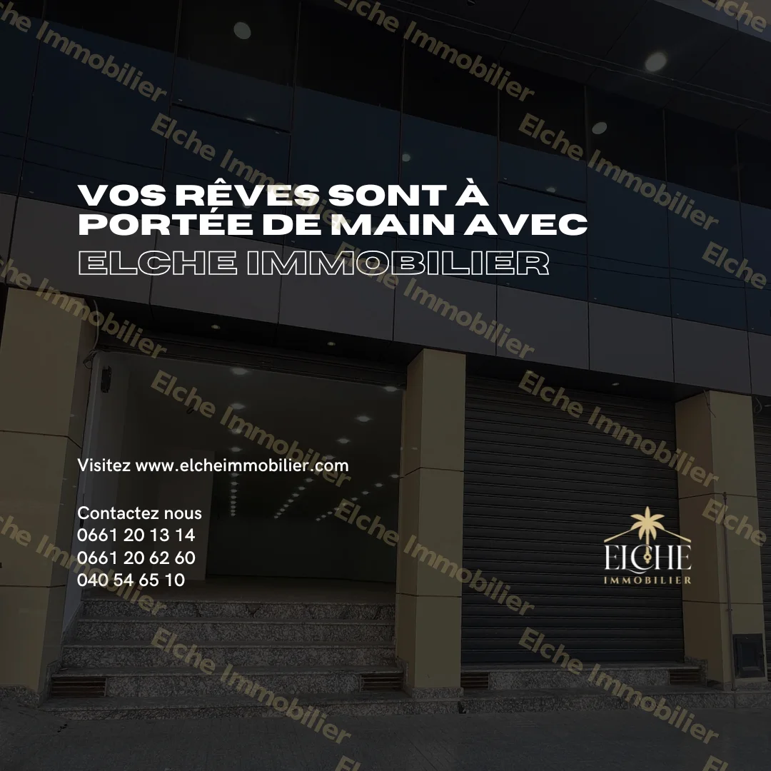 Local R+1 à Louer
