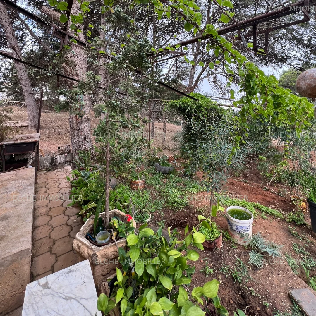 Maison R+1 à vendre