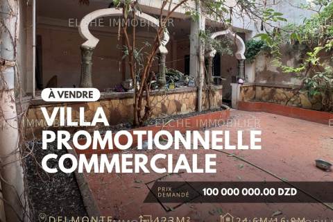 Villa promotionnelle R+1